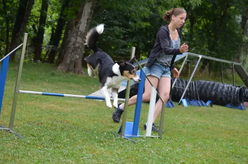 Eine Frau springt über eine Hürde mit einem Hund. – Jugend und Hund Lager 2013 in Chur