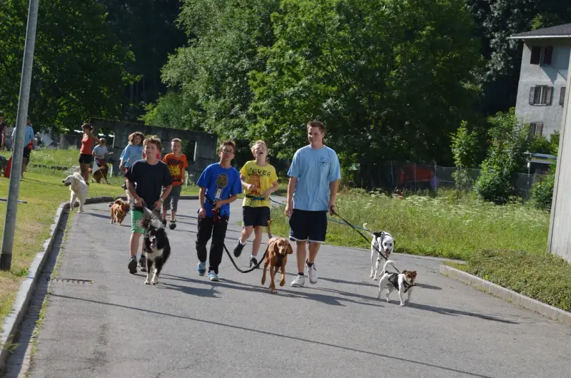Eine Gruppe von Menschen, die ihre Hunde eine Strasse entlang gehen. – Jugend und Hund Lager 2013 in Chur