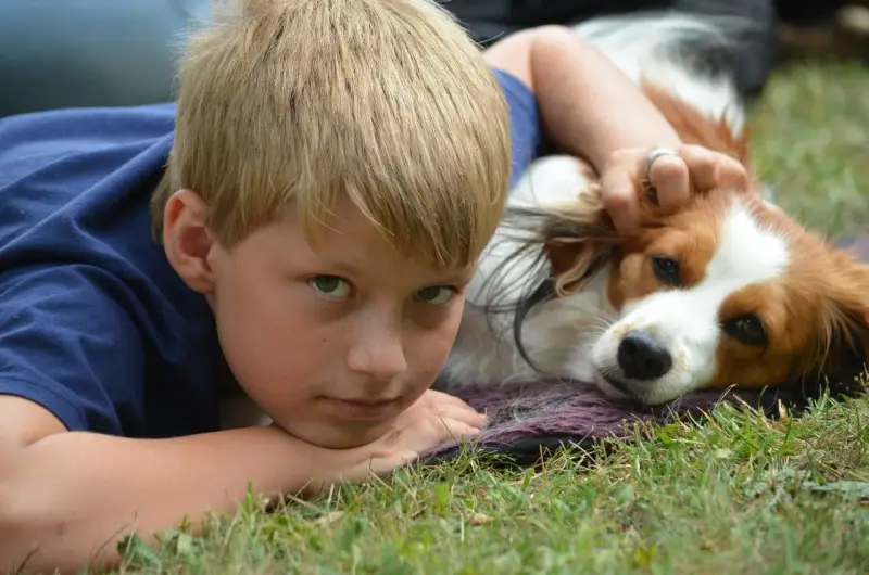 Ein Junge, der mit einem Hund auf dem Gras liegt. – Jugend und Hund Lager 2013 in Chur