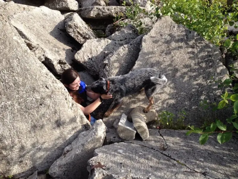Eine Frau, die mit ihren Händen auf dem Boden einen Felsen hochklettert. – Jugend und Hund Lager 2014 in Chur