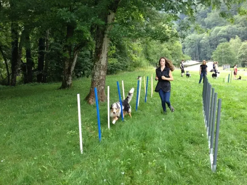 Eine Frau geht mit ihrem Hund durch einen Zaun. – Jugend und Hund Lager 2014 in Chur