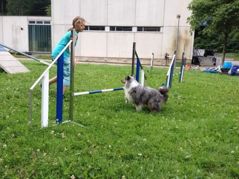 Eine Frau spielt mit einem Hund im Gras. – Jugend und Hund Lager 2014 in Chur