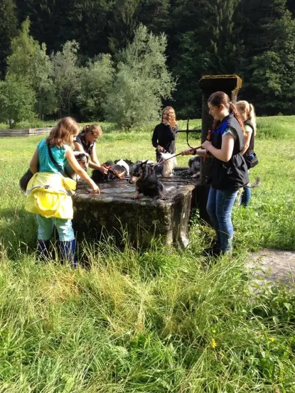 Drei Frauen stehen auf einem Feld um einen Tisch. – Jugend und Hund Lager 2014 in Chur