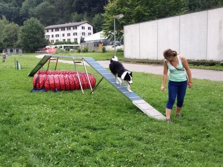 Eine Frau geht mit einem Hund eine Rampe hinunter. – Jugend und Hund Lager 2014 in Chur