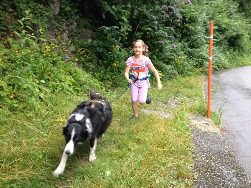 Ein junges Mädchen läuft mit ihrem Hund auf einer Spur. – Jugend und Hund Lager 2014 in Chur