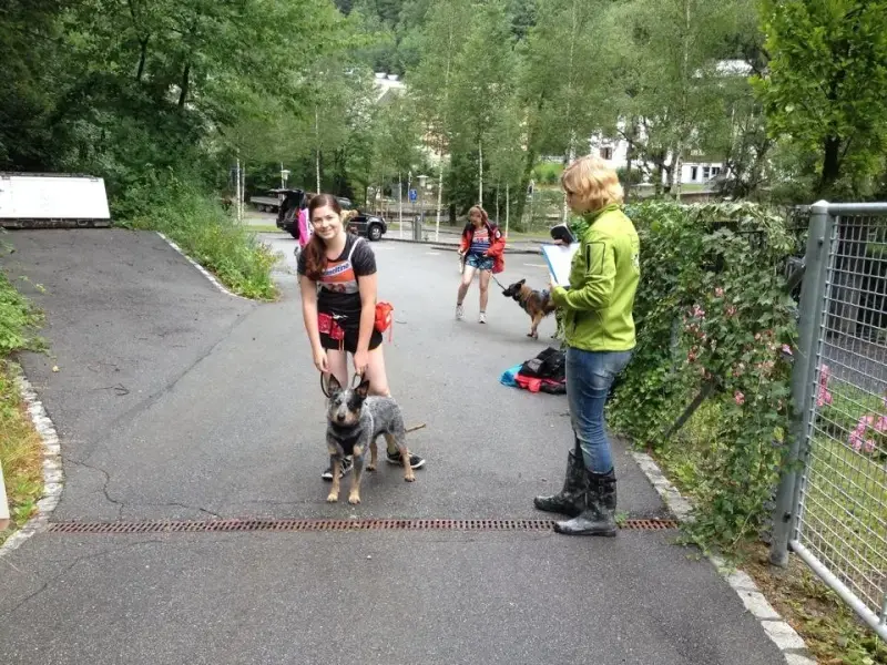 Eine Gruppe von Menschen, die mit einem Hund eine Strasse hinuntergehen. – Jugend und Hund Lager 2014 in Chur