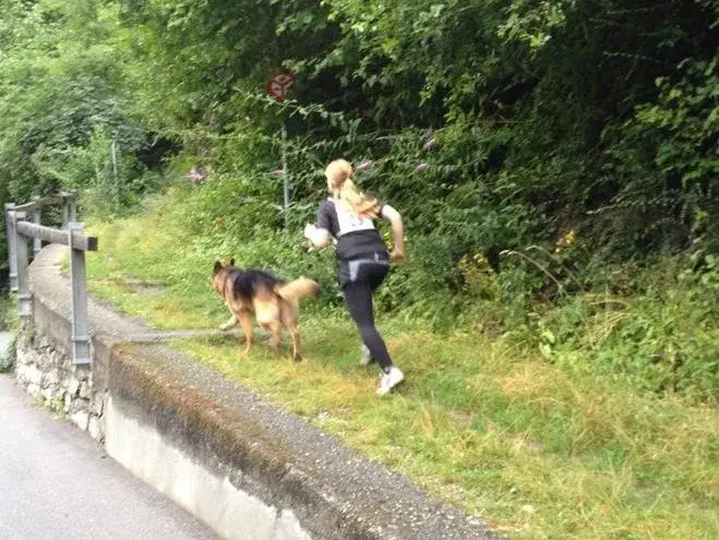 Eine Frau geht mit ihrem Hund die Strasse hinunter. – Jugend und Hund Lager 2014 in Chur