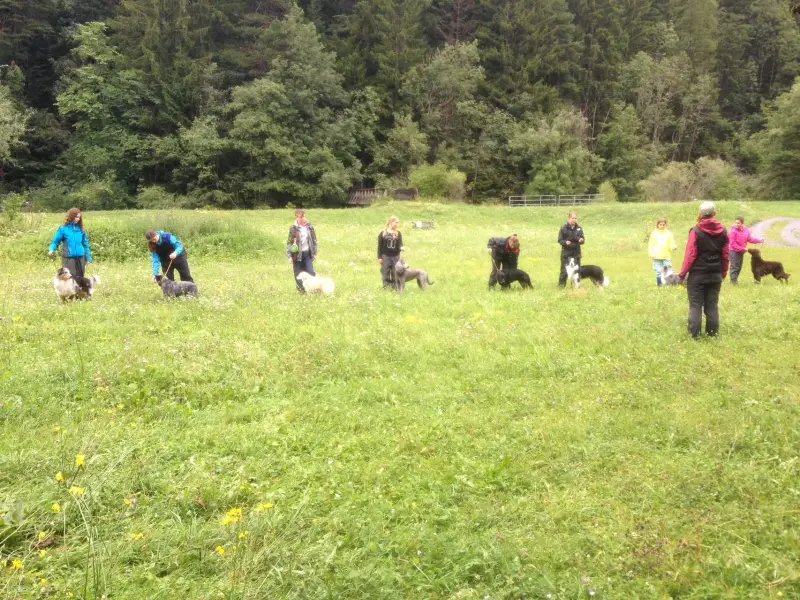 Eine Gruppe von Menschen auf einem Feld mit einem Hund. – Jugend und Hund Lager 2014 in Chur
