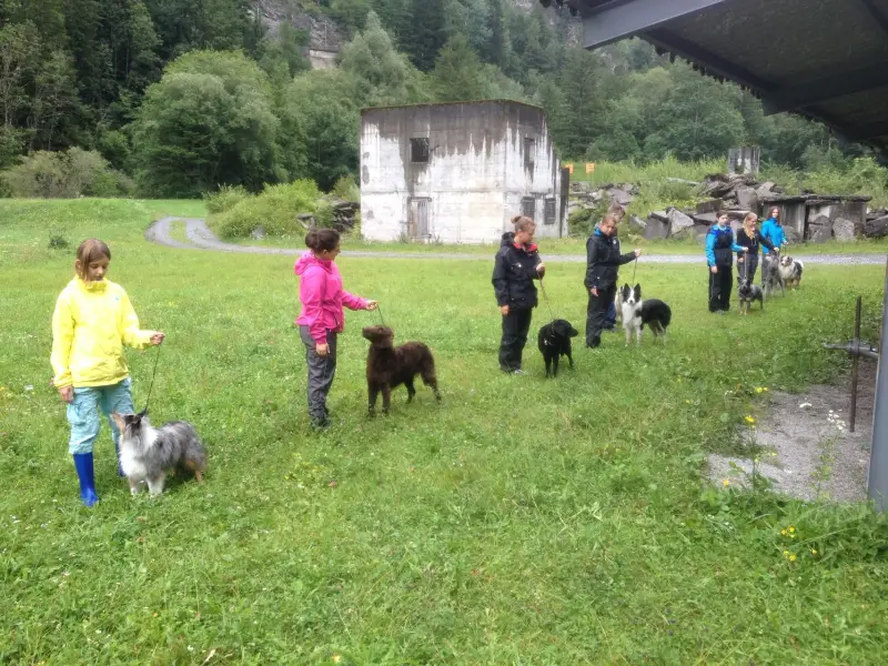 Eine Gruppe von Kindern und Hunden auf einem Feld. – Jugend und Hund Lager 2014 in Chur