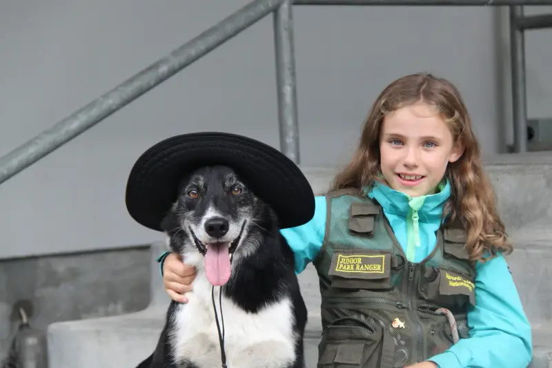 Ein in ein in ein ein hut ein mädchen. – Jugend und Hund Lager 2014 in Chur
