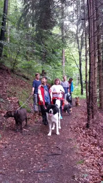 Eine Gruppe von Menschen, die mit ihren Hunden eine Spur hinuntergehen. – Jugend und Hund Lager 2014 in Chur