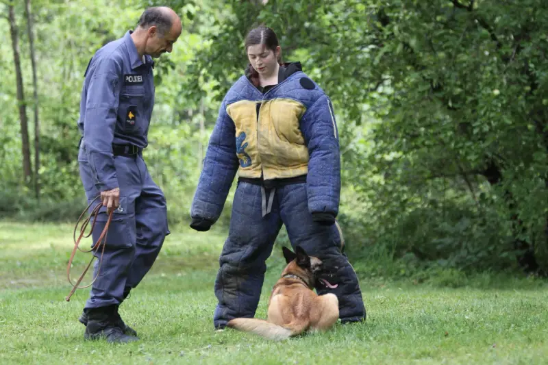 Ein Mann und eine Frau, die einen Hund im Gras laufen. – Jugend und Hund Lager 2014 in Chur