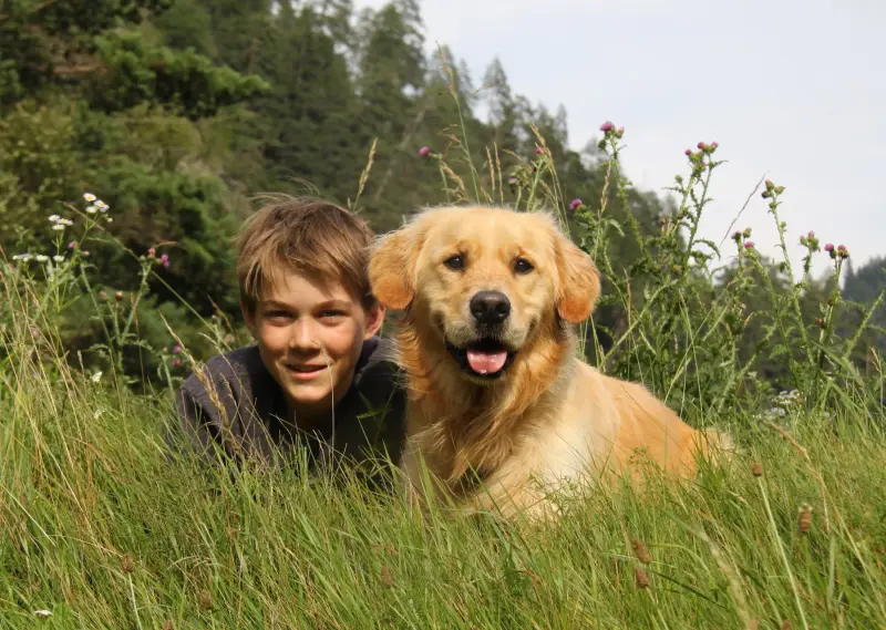 Ein Junge und sein Hund auf einem Feld aus grossem Gras. – Jugend und Hund Lager 2014 in Chur
