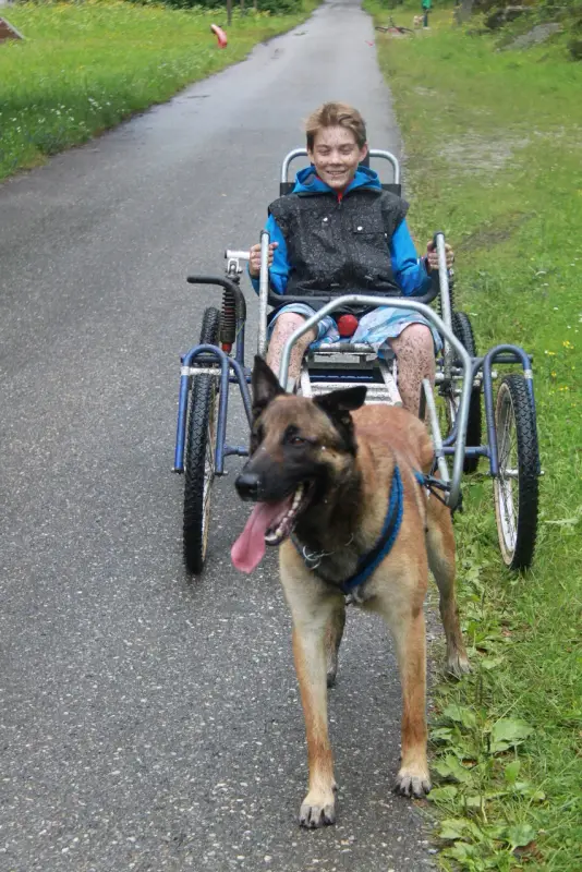 Ein junger Junge im Rollstuhl mit einem Hund. – Jugend und Hund Lager 2014 in Chur