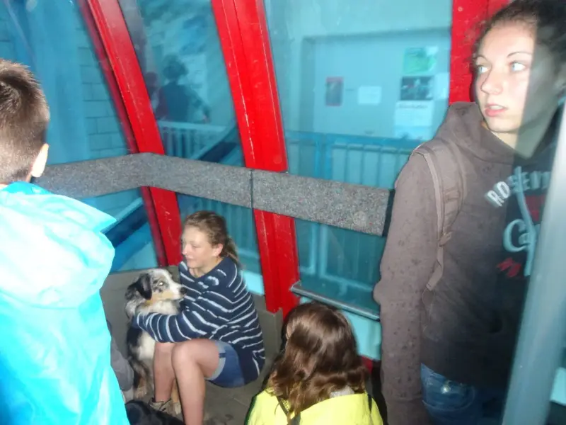 Eine Gruppe von Menschen in einem U-Bahn-Zug. – Jugend und Hund Lager 2014 in Chur