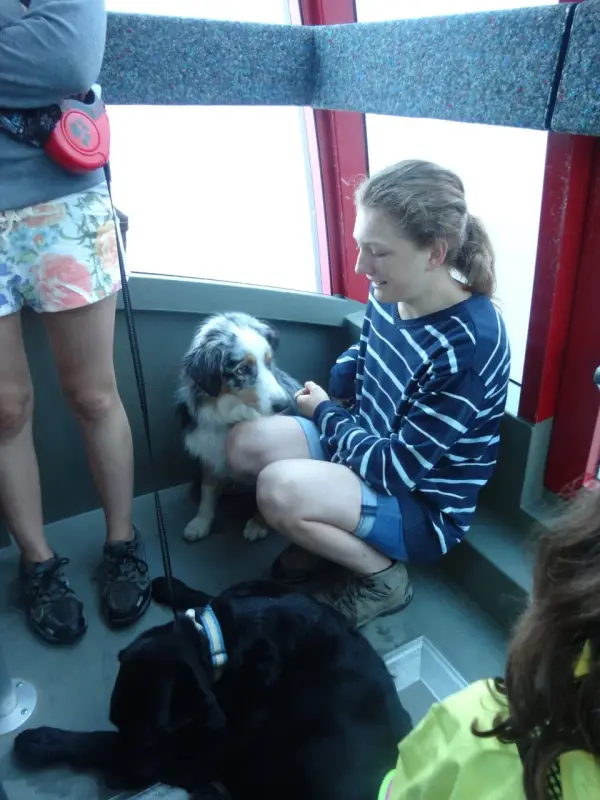 Ein Junge und ein Hund im Bus. – Jugend und Hund Lager 2014 in Chur