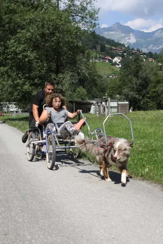 Eine Frau, die ein Fahrrad mit einem Hund an der Leine fährt. – Jugend und Hund Lager 2014 in Chur