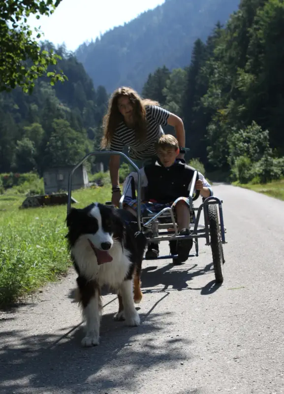 Eine Frau, die mit einem Hund auf der Rückseite Fahrrad fährt. – Jugend und Hund Lager 2014 in Chur