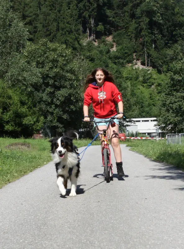 Eine Frau, die ein Fahrrad mit einem Hund an der Leine fährt. – Jugend und Hund Lager 2014 in Chur