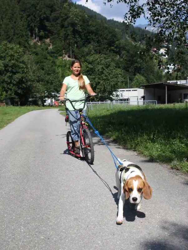 Eine Frau, die ein Fahrrad mit einem Hund an der Leine fährt. – Jugend und Hund Lager 2014 in Chur