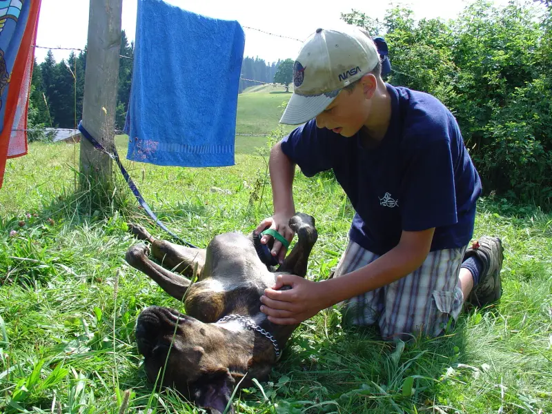 Ein Mann füttert eine Ziege auf einem Feld. – Jugend und Hund Lager 2005 in Ebnatkappel