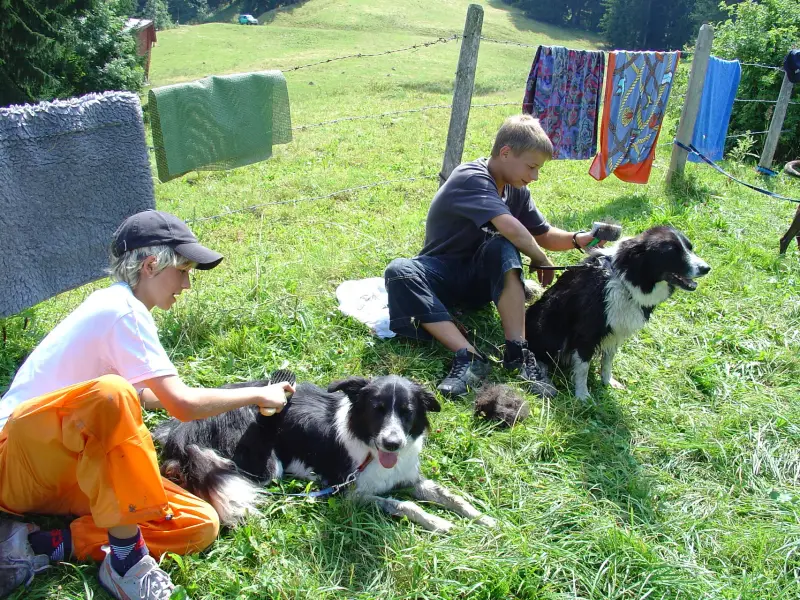 Ein Mann und eine Frau sitzen mit ihren Hunden im Gras. – Jugend und Hund Lager 2005 in Ebnatkappel