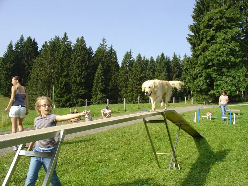 Eine Frau steht auf einer Bank mit einem Hund. – Jugend und Hund Lager 2005 in Ebnatkappel