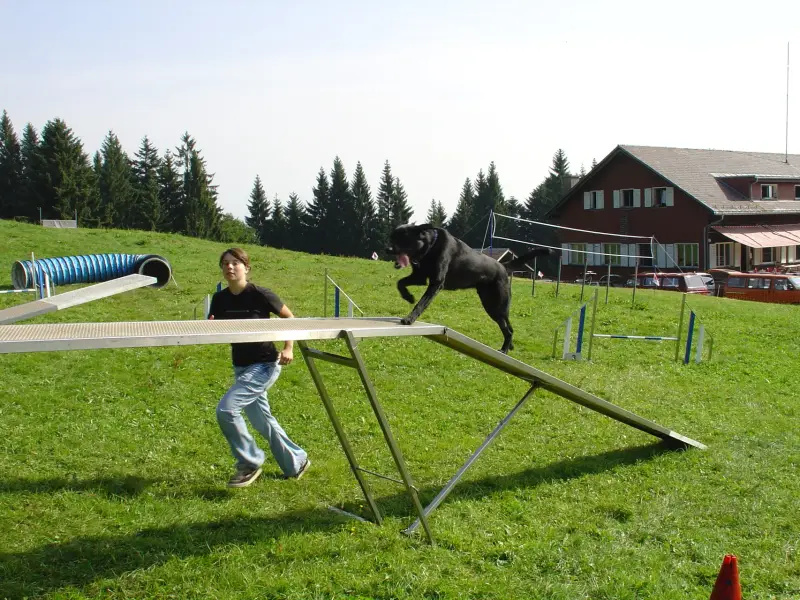 Eine Frau, die auf einem grasbedeckten Feld steht. – Jugend und Hund Lager 2005 in Ebnatkappel