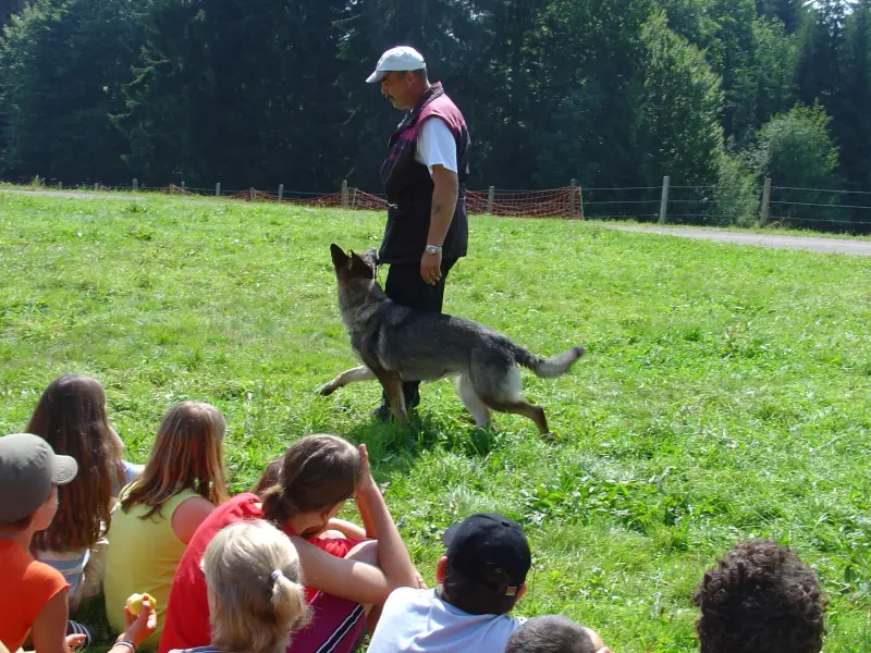 Ein Mann springt über einen Hund auf einem Feld. – Jugend und Hund Lager 2005 in Ebnatkappel