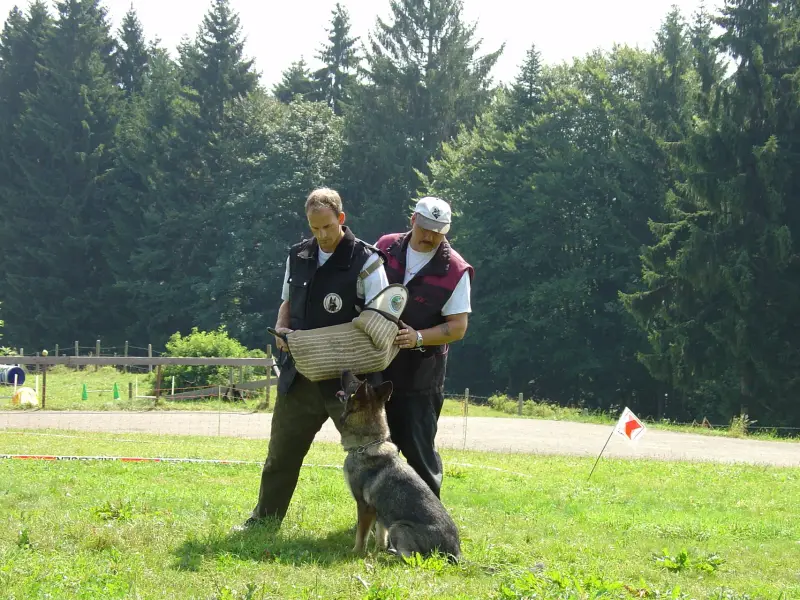 Ein Mann und eine Frau spielen mit einem Hund. – Jugend und Hund Lager 2005 in Ebnatkappel