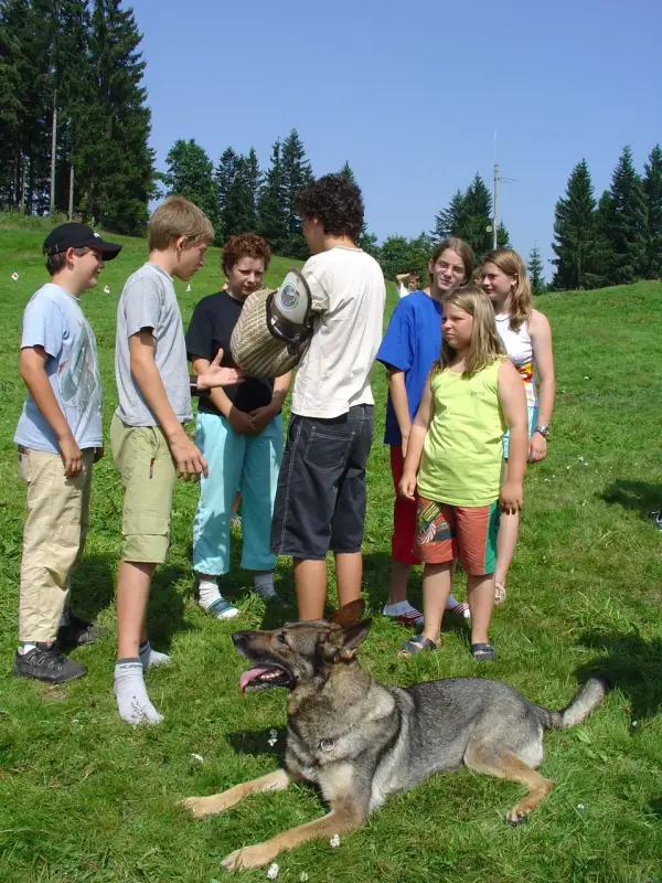 Eine Gruppe von Kindern und einem Hund auf einem Feld. – Jugend und Hund Lager 2005 in Ebnatkappel