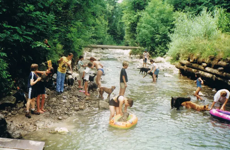 Eine Gruppe von Menschen, die in einem Fluss mit ihren Hunden stehen, umgeben von Bäumen, Pflanzen und Felsen. Rasse: Irish Water Spaniel. – Jugend und Hund Lager 2001 in Eigenthal