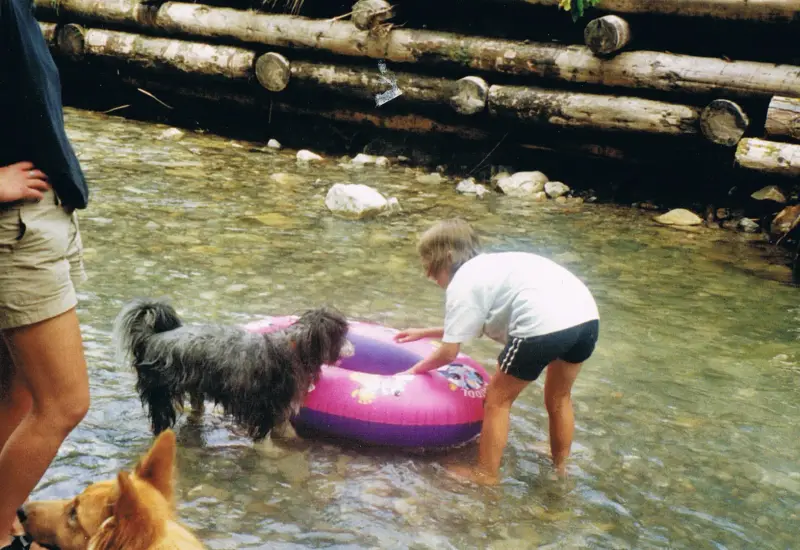Das Bild zeigt einen Mann und zwei Hunde, die im Wasser mit einem aufblasbaren Ring spielen. Rassen: Schottischer Hirschhund, Chow-Chow. – Jugend und Hund Lager 2001 in Eigenthal