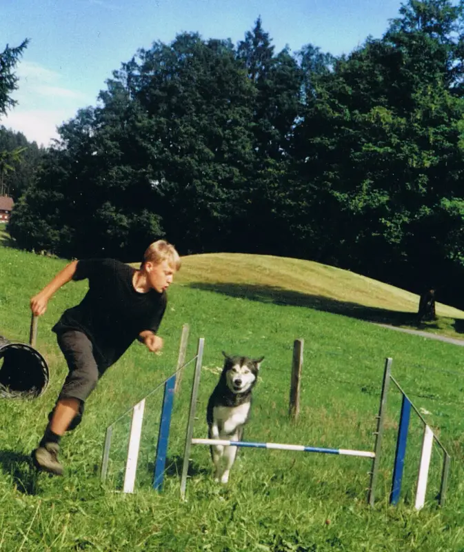 Das Bild zeigt einen Mann, der mit einem Hund in einem Feld läuft, umgeben von Gras und einem Zaun. Rasse: Alaskan Malamute. – Jugend und Hund Lager 2001 in Eigenthal