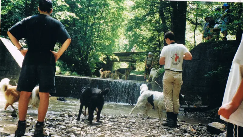 Eine Gruppe von Menschen, die mit ihren Hunden neben einem Fluss stehen, umgeben von Steinen, einer Mauer, einer Brücke und Bäumen. – Jugend und Hund Lager 2001 in Eigenthal