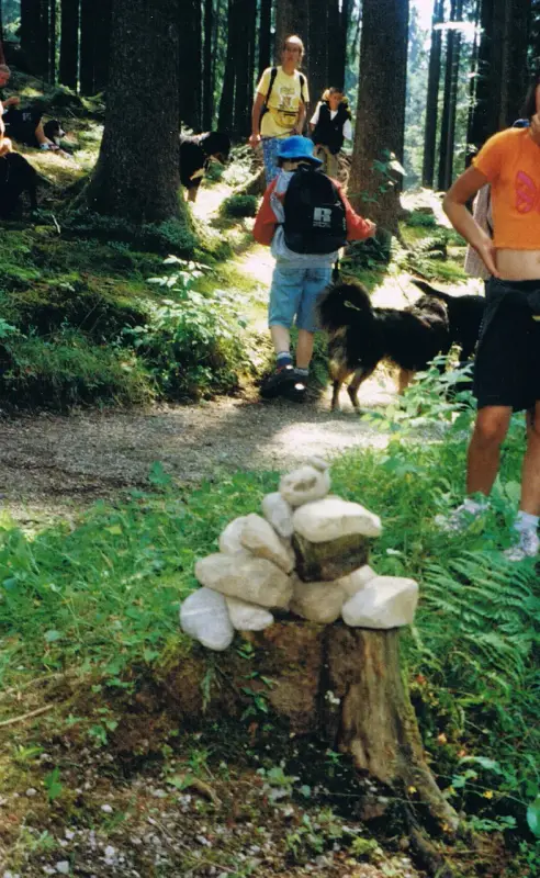 Eine Gruppe von Menschen, die einen Weg in den Wald hinuntergehen, mit einem Hund, der sie begleitet.Der Weg… Rasse: Berner Sennenhund. – Jugend und Hund Lager 2001 in Eigenthal