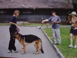 Eine Frau, die neben einem Schäferhund an der Leine vor einem Haus steht. Rasse: Deutscher Schäferhund. – Jugend und Hund Lager 2001 in Eigenthal