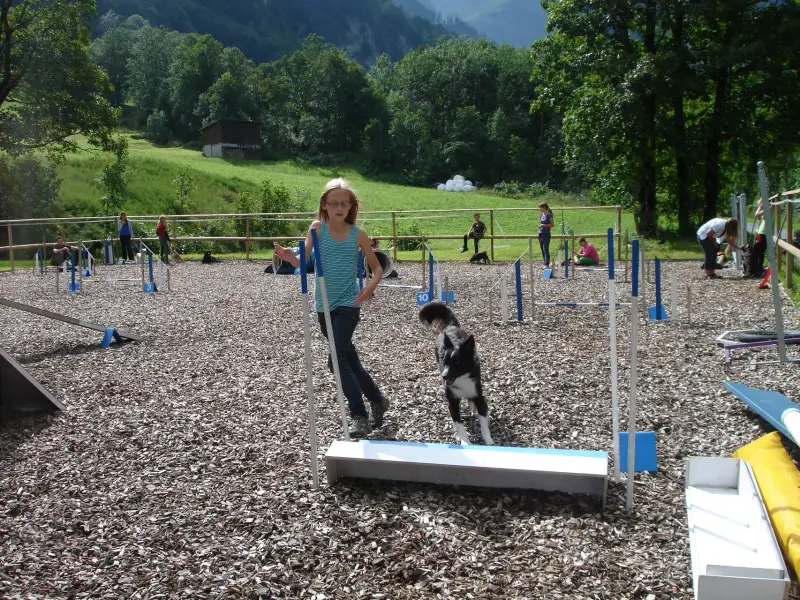 Ein junges Mädchen, das mit ihrem Hund in einem Park läuft. Rasse: Cardigan Welsh Corgi. – Jugend und Hund Lager 2011 in Elm