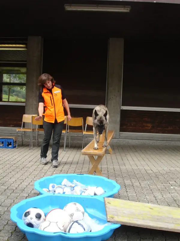Eine Frau, die neben einem Hund auf einer Bank vor einem Gebäude steht. Rasse: Malinois. – Jugend und Hund Lager 2011 in Elm