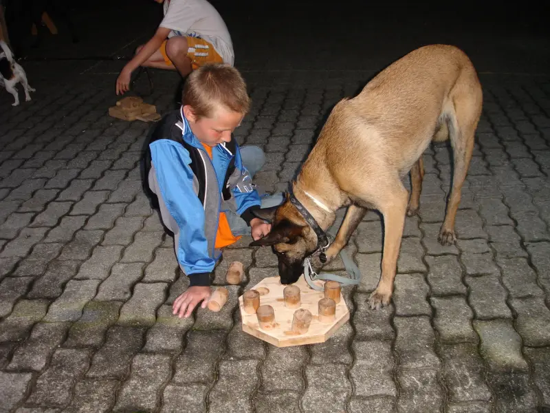 Das Bild zeigt einen Jungen, der mit einem Hund auf einem Holzblock spielt. Rasse: Malinois. – Jugend und Hund Lager 2011 in Elm