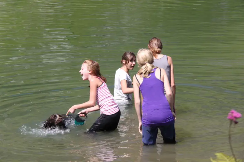 Eine Gruppe von vier Frauen, die mit einem Hund im Wasser stehen. Rasse: Deutsch Kurzhaar. – Jugend und Hund Lager 2011 in Elm