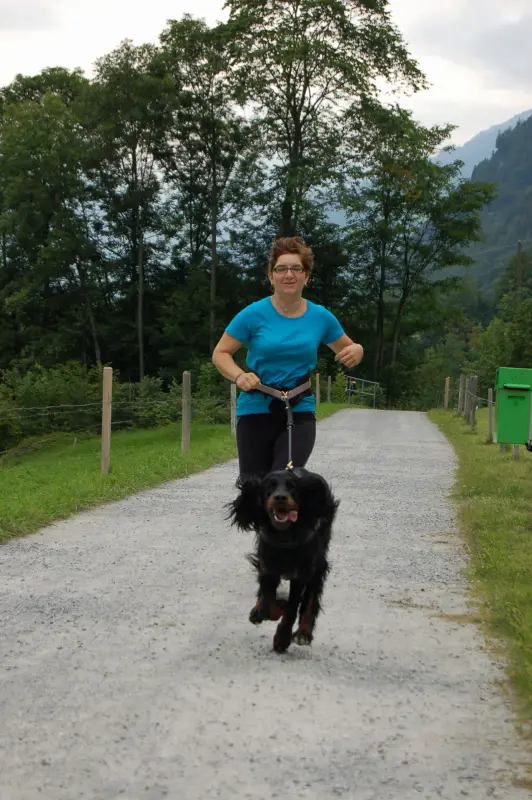 Eine Frau mit blauem T-Shirt und schwarzer Hose, die mit einem schwarzen Hund an der Leine eine unbefestigte Strasse… Rasse: Gordon Setter. – Jugend und Hund Lager 2011 in Elm