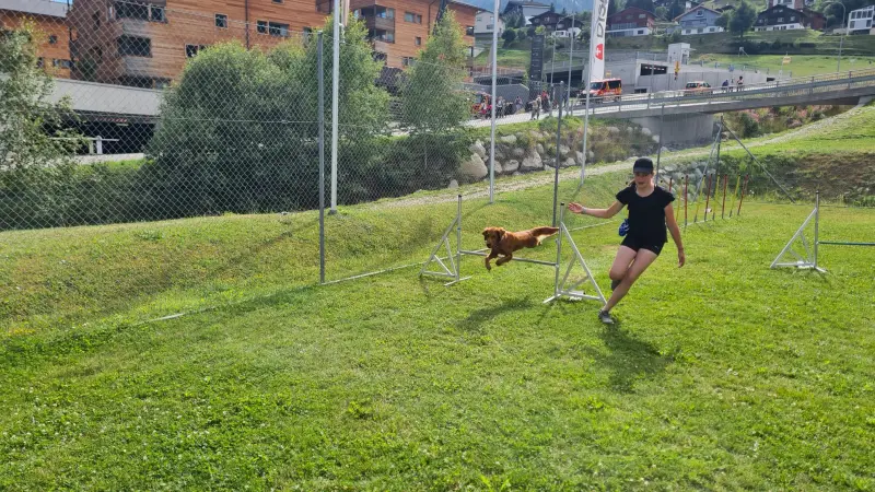 Eine Frau, die mit einem Hund auf einer Schaukel auf einem Grasfeld läuft. Rasse: Golden Retriever. – Jugend und Hund Lager 2023 in Segnas