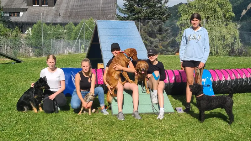 Eine Gruppe von Menschen, die auf einem üppigen grünen Feld sitzen, von denen zwei… Rassen: Vizsla, Irish Setter, Curly-Coated Retriever. – Jugend und Hund Lager 2023 in Segnas