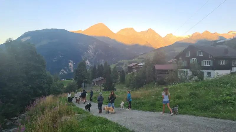 Eine Gruppe von Menschen, die mit ihren Hunden einen Feldweg entlang gehen, umgeben von üppig grünem Gras, Pflanzen, Blumen, Bäumen und… – Jugend und Hund Lager 2023 in Segnas