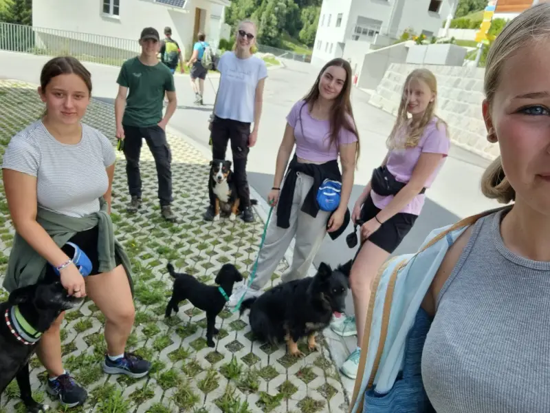 Eine Gruppe von Menschen, die mit ihren Hunden nebeneinander stehen. Rassen: Curly-Coated Retriever, Deutscher Schäferhund. – Jugend und Hund Lager 2023 in Segnas