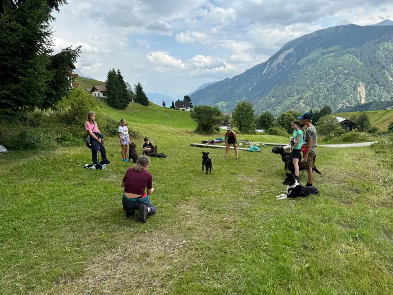 Eine Gruppe von Menschen, die auf einem üppigen grünen Feld stehen, von denen einige auf ihren Hunden sitzen. Wandern. – Jugend und Hund Lager 2024 in Segnas