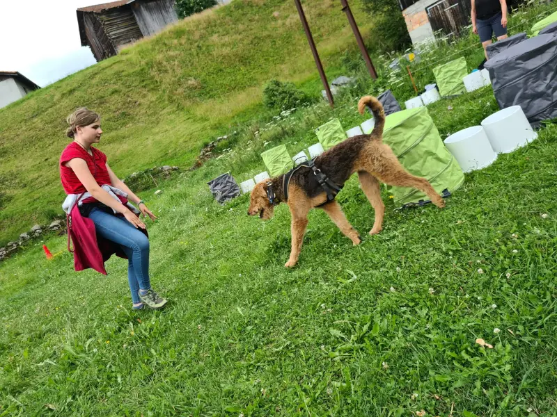 Eine Frau, die auf einem üppig grünen Feld neben einem Hund sitzt. Rasse: Airedale Terrier. Agility. – Jugend und Hund Lager 2024 in Segnas