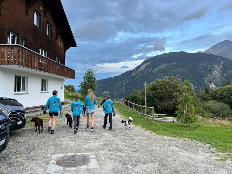 Eine Gruppe von Menschen, die mit ihren Hunden eine unbefestigte Strasse vor einem Gebäude mit… Rasse: Treeing Walker Coonhound. Wandern. – Jugend und Hund Lager 2024 in Segnas