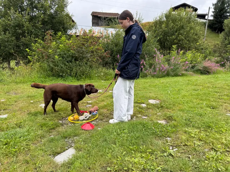 Eine Frau, die auf einem Grasfeld steht, mit einem braunen Hund an der Leine. Rasse: Australian Kelpie. – Jugend und Hund Lager 2025 in Segnas